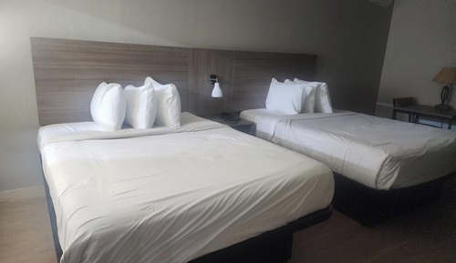 Standard Studio, 2 Queen Beds, Refrigerator & Microwave