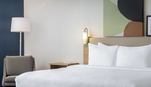 Room, 1 King Bed