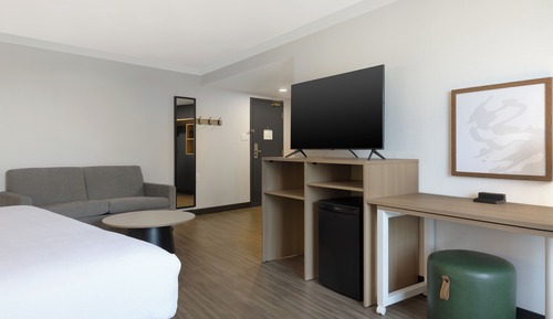 Room, 1 King Bed with Sofa bed