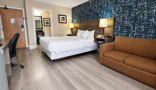 Room, 1 King Bed, Non Smoking