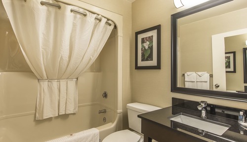 Room, 1 King Bed, Accessible, Non Smoking