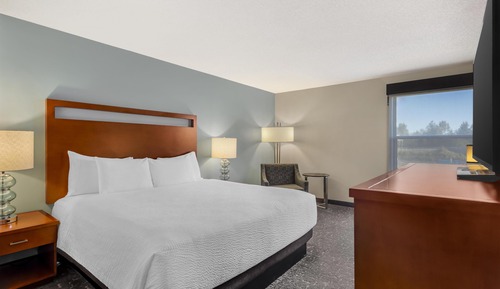 Business Room, 1 King Bed, Non Smoking, Microwave