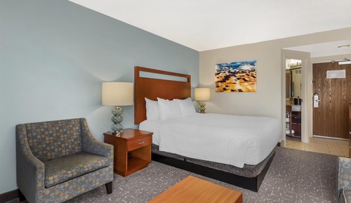 Standard Room, 1 King Bed, Non Smoking, Refrigerator & Microwave