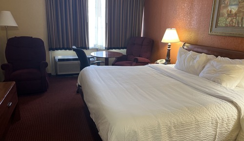 Deluxe Room, 1 King Bed, Non Smoking, Pool View