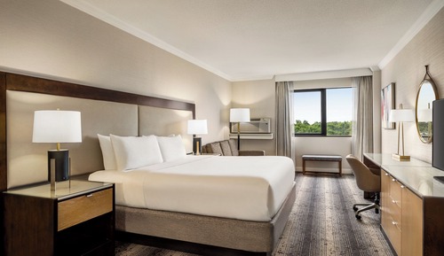 Standard Room, 1 King Bed, Accessible (Mobility)