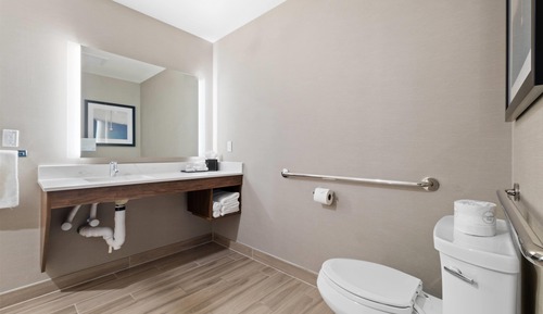 Room, 1 King Bed, Accessible, Non Smoking (Mobility  Roll-In Shower)