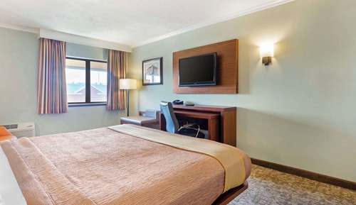 Standard Room, 1 Queen Bed, Non Smoking, Refrigerator & Microwave