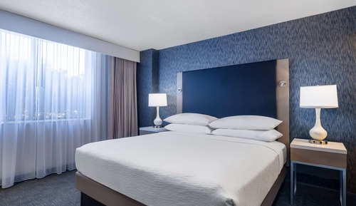 Suite, 1 King Bed, Accessible