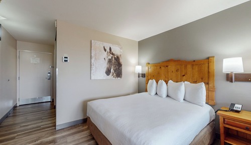 Standard Room, 1 King Bed, Non Smoking (Shower Only;Pet Friendly)
