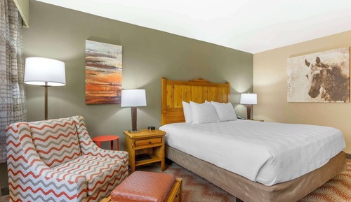 Standard Room, 1 King Bed, Non Smoking