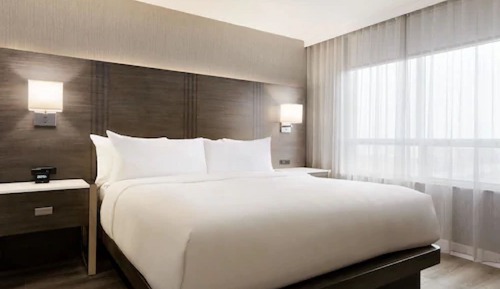 Suite, 1 King Bed