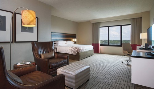 Room, 1 King Bed