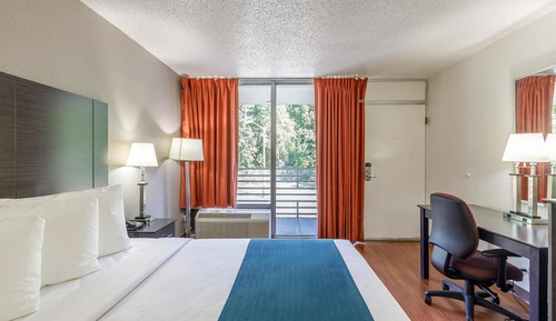 Deluxe Room, 1 King Bed, Non Smoking, Refrigerator & Microwave