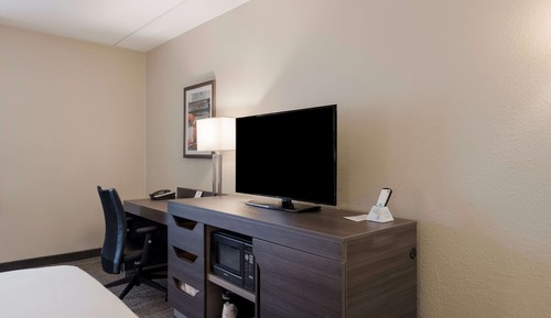 Standard Room, 1 King Bed, Non Smoking, Refrigerator & Microwave (Oversized Room)