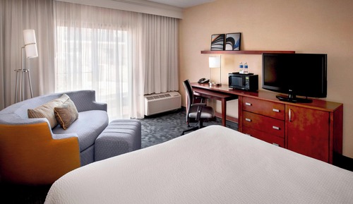 Room, 1 King Bed with Sofa bed