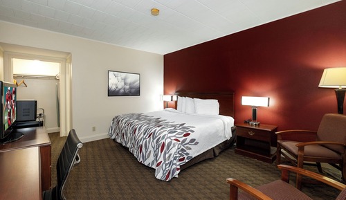 Superior Room, 1 King Bed, Smoking