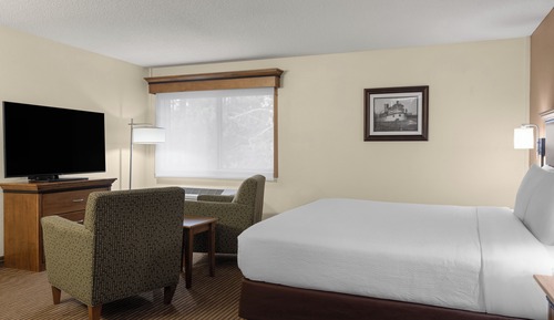 1 King bed Executive Suite w/ sitting area, wet bar, microwave, mini fridge