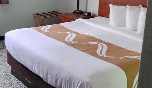 Room, 1 King Bed, Non Smoking (Mobility, Roll-in Shower)