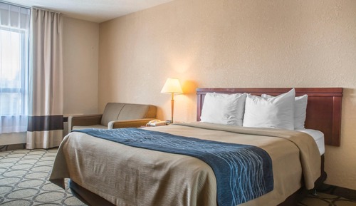 Standard Room, 1 Queen Bed, Non Smoking