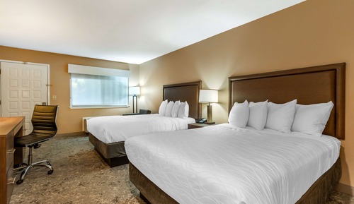 Standard Room, 2 Queen Beds, Non Smoking, Refrigerator