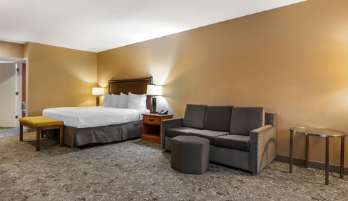 Suite, 1 King Bed, Accessible, Refrigerator & Microwave (Walk-in Shower)