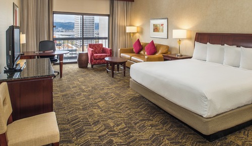 Suite, 1 King Bed, Accessible (Roll-In Shower)