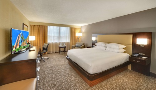 Room, 1 King Bed