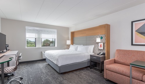 Standard Room, 1 King Bed with Sofa bed
