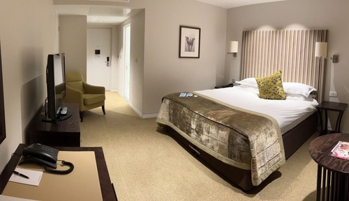 Superior Double Room (Higher Floor)