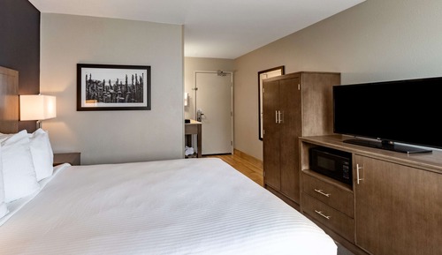 Standard Room, 1 Queen Bed, Non Smoking, Refrigerator & Microwave (Small Room)