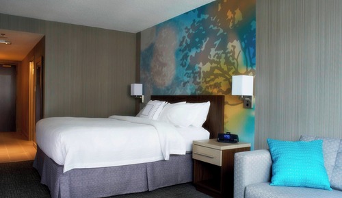 Room, 1 King Bed with Sofa bed