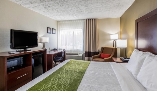 Standard Room, 1 King Bed, Non Smoking