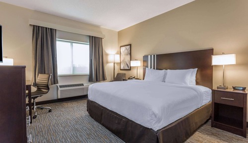 Room, 1 King Bed, Non Smoking