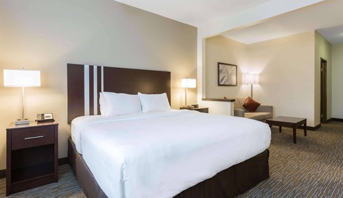 Deluxe Room, 1 King Bed, Non Smoking