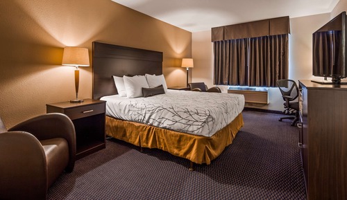 Standard Room, 1 King Bed, Non Smoking, Refrigerator & Microwave (Pet Friendly)