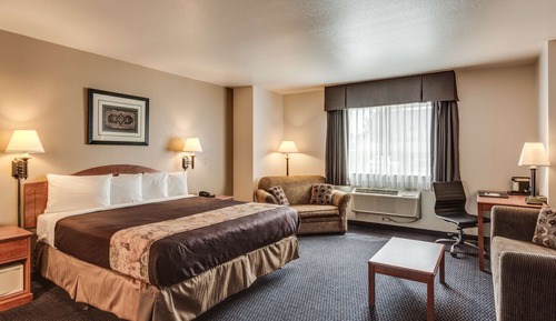 Standard Room, 1 King Bed, Accessible, Refrigerator & Microwave (Pet Friendly)