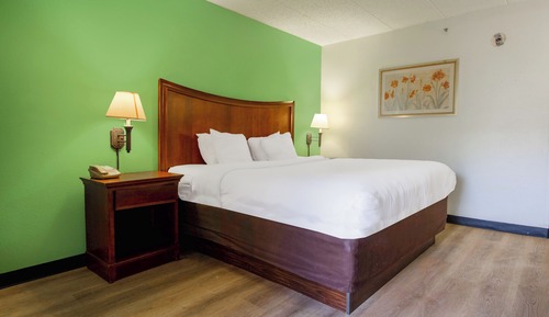 Room, 1 King Bed