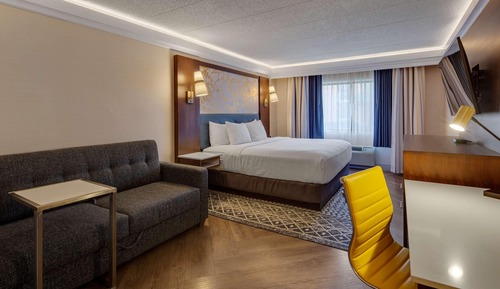 Suite, 1 King Bed, Non Smoking, Kitchen (Presidential; Sofabed)