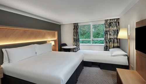 Deluxe Room, 1 King Bed (with 1 Sofa Bed)