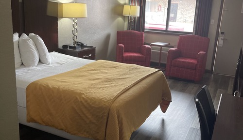 Standard Single, 1 Queen Bed