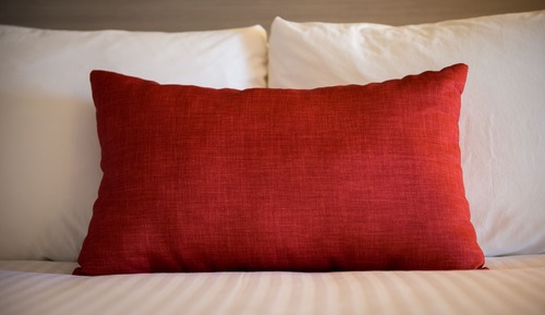 Standard Room, 2 Queen Beds, Non Smoking, Refrigerator & Microwave (Pet Friendly)