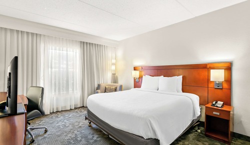Room, 1 King Bed, Accessible (Mobility/Hearing Tub Roll in Shower)