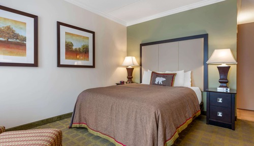 Standard Room, 1 Queen Bed, Accessible, Refrigerator & Microwave