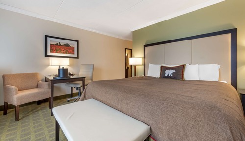 Standard Room, 1 King Bed, Non Smoking, Refrigerator & Microwave