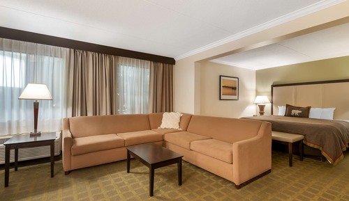 Executive Room, 1 King Bed, Non Smoking, Refrigerator & Microwave (Living Room;with Sofabed)