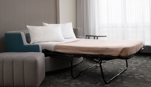 Room, 1 King Bed with Sofa bed