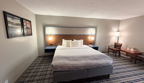 Room, 1 King Bed, Non Smoking