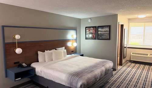 Room, 1 King Bed, Non Smoking, Pool View