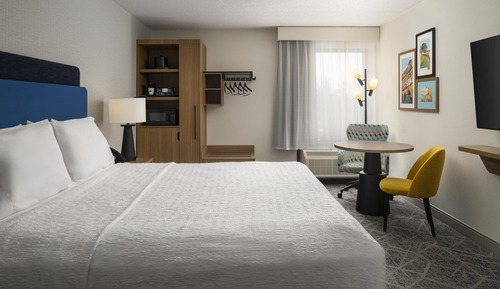 Room, 1 King Bed, Non Smoking (Study)