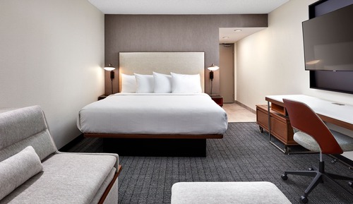 Room, 1 King Bed with Sofa bed (Hearing Accessible)